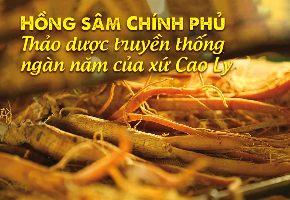 Thương hiệu nhân sâm truyền thống uy tín Cheong Kwan Jang