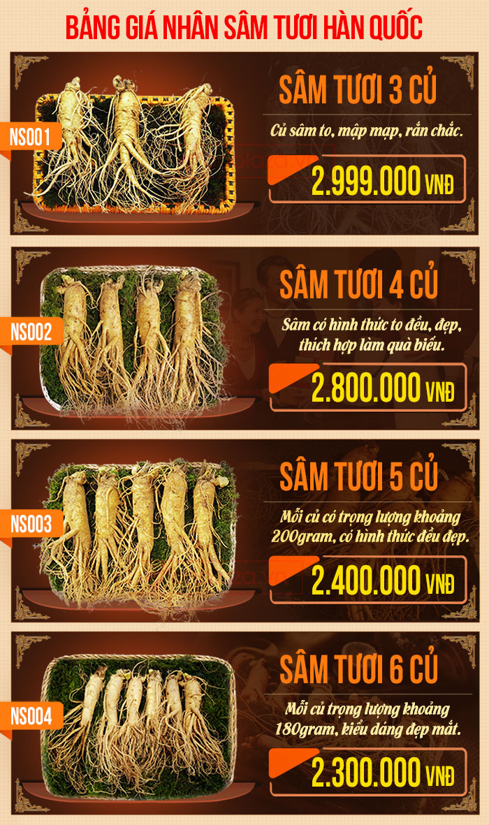 bang-gia-sam-tuoi-6-nam-tuoi-1.jpg