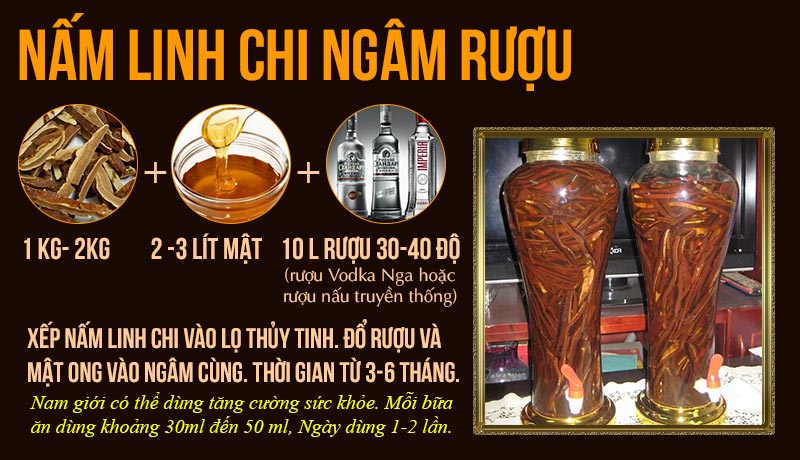 Cách chế biến nấm linh chi ngâm rượu