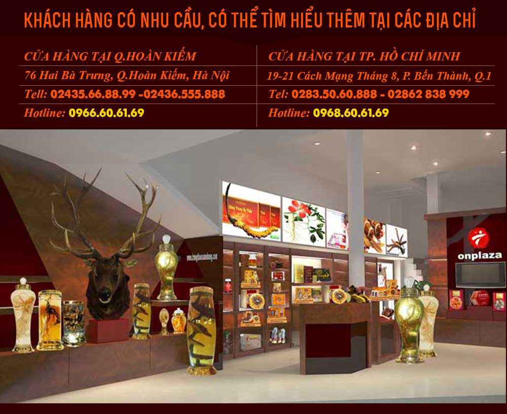 cửa hàng phân phối nhân sâm tươi hàn quốc cao cấp