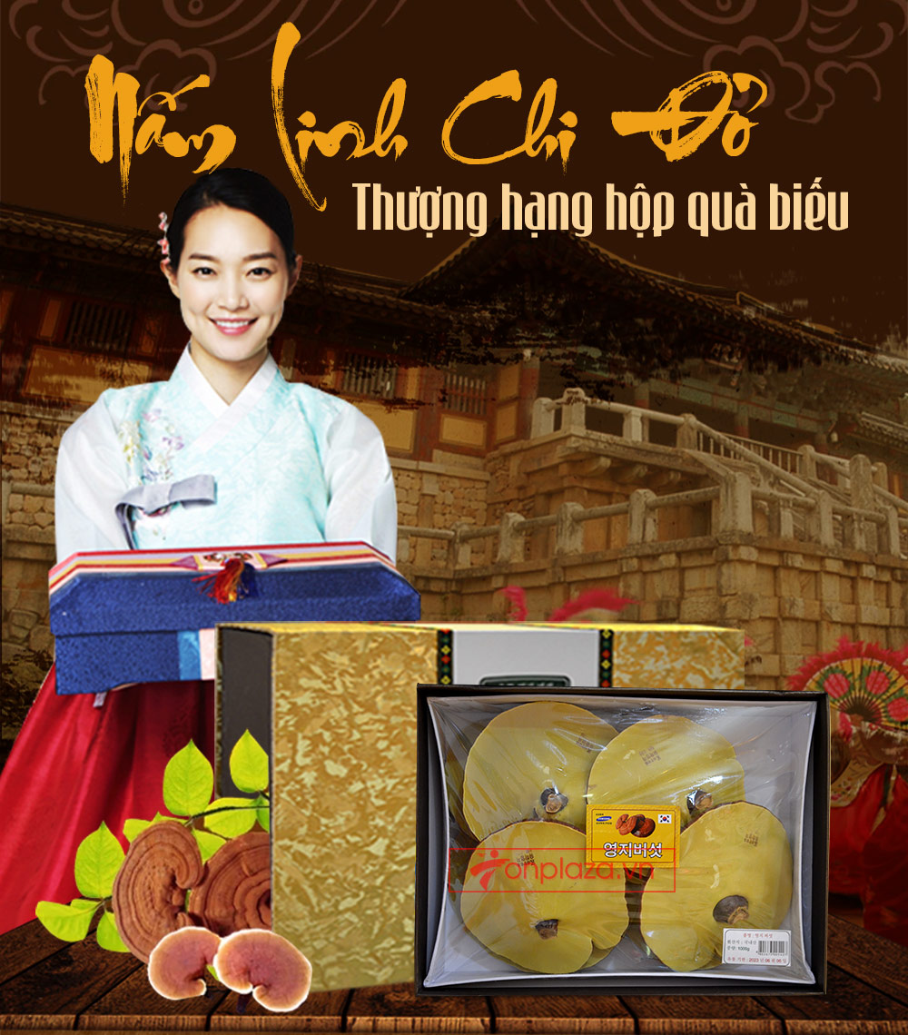 Nấm linh chi đỏ thượng hạng Hàn Quốc