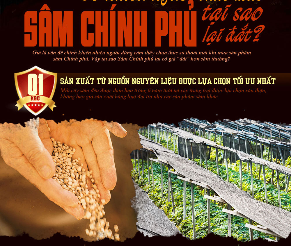 quy-trinh-kiem-tra-saponin-trong-sam-chinh-phu-1.jpg