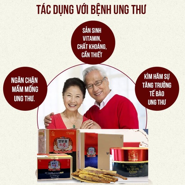 Sâm chính phủ rất tốt trong hỗ trợ chữa bệnh ung thư