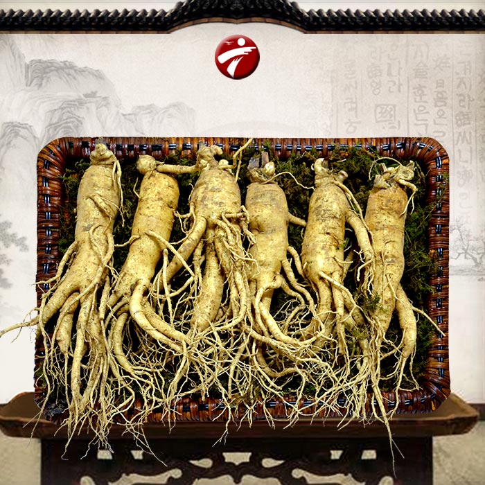 Nhân sâm Hàn Quốc cao cấp loại 6 củ/kg NS004