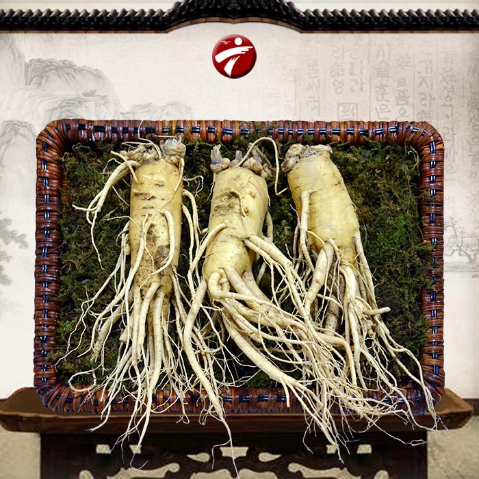 Nhân sâm tươi Hàn Quốc chất lượng 3 củ/kg NS001