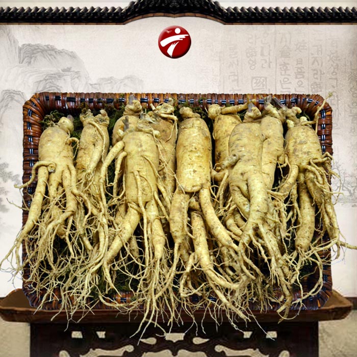 Nhân sâm tươi Hàn Quốc loại 10 củ/kg NS007