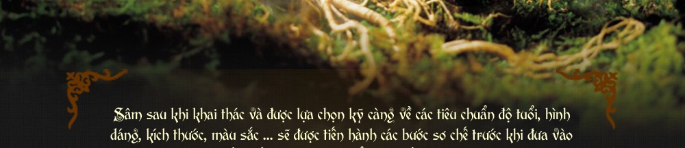 cao hồng sâm hàn quốc