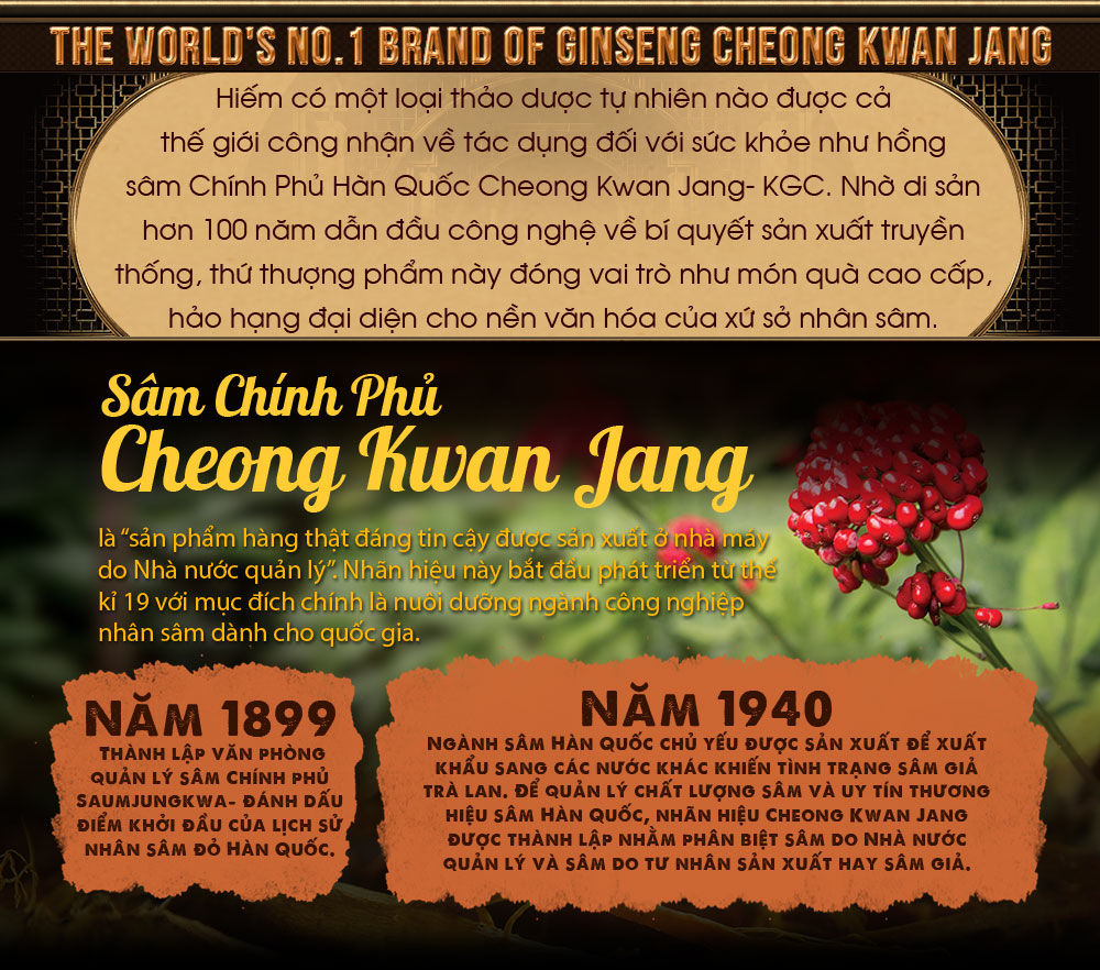 cao hồng sâm chính phủ