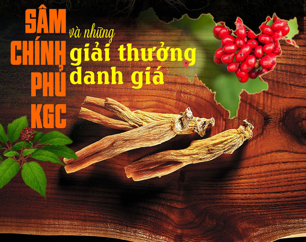 cao hồng sâm chính phủ