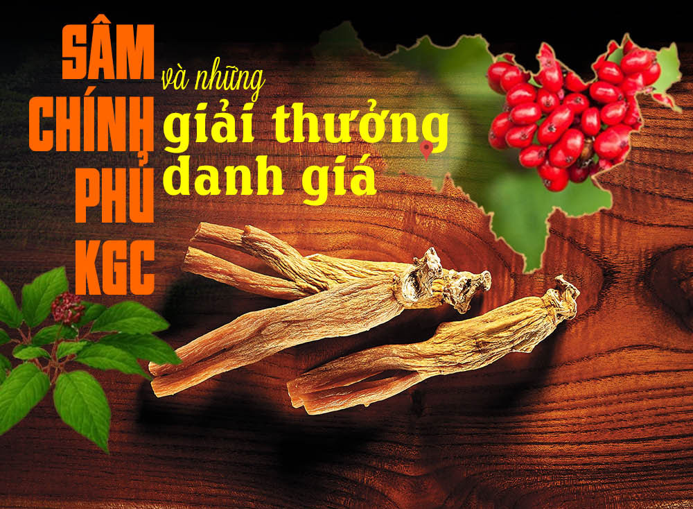 cao hồng sâm chính phủ