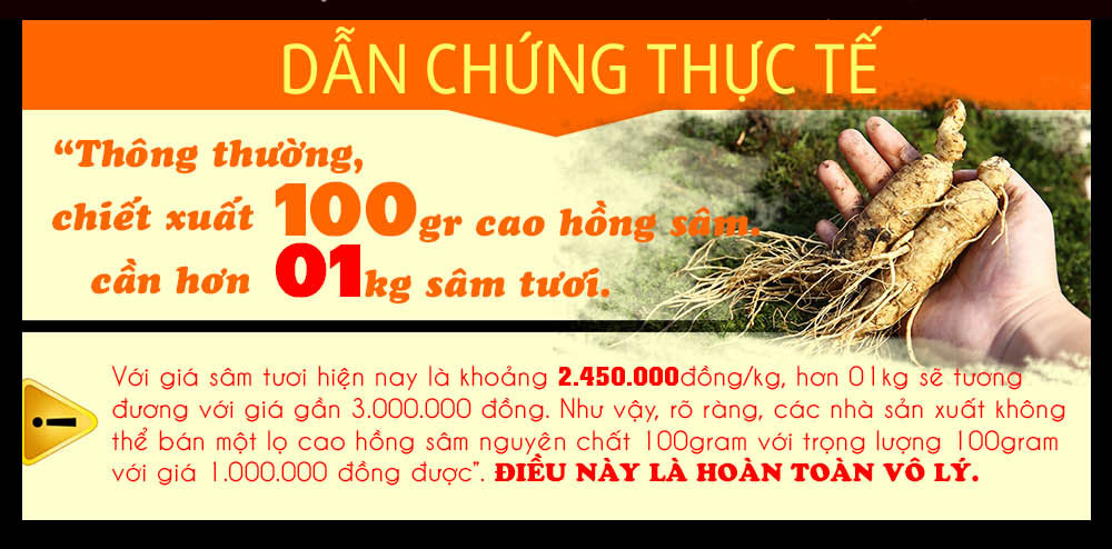 cao hồng sâm chính phủ