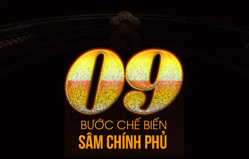 cao hồng sâm chính phủ