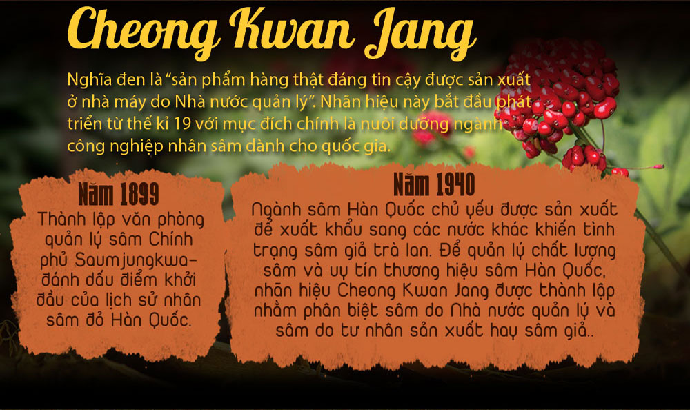 hồng chính phủ