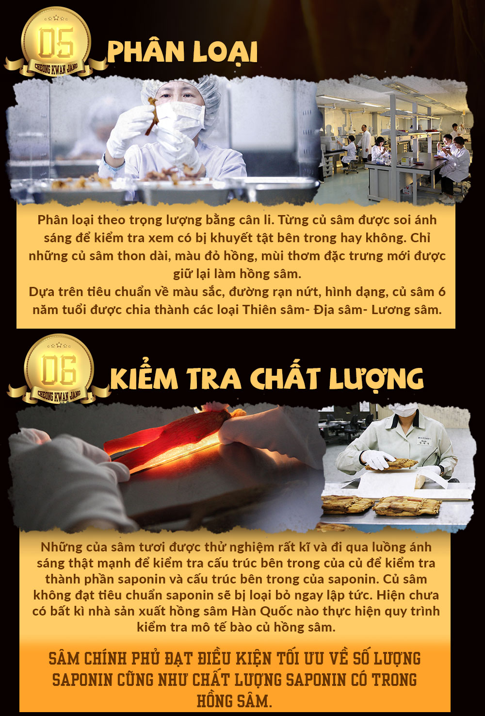 hồng sâm chính phủ