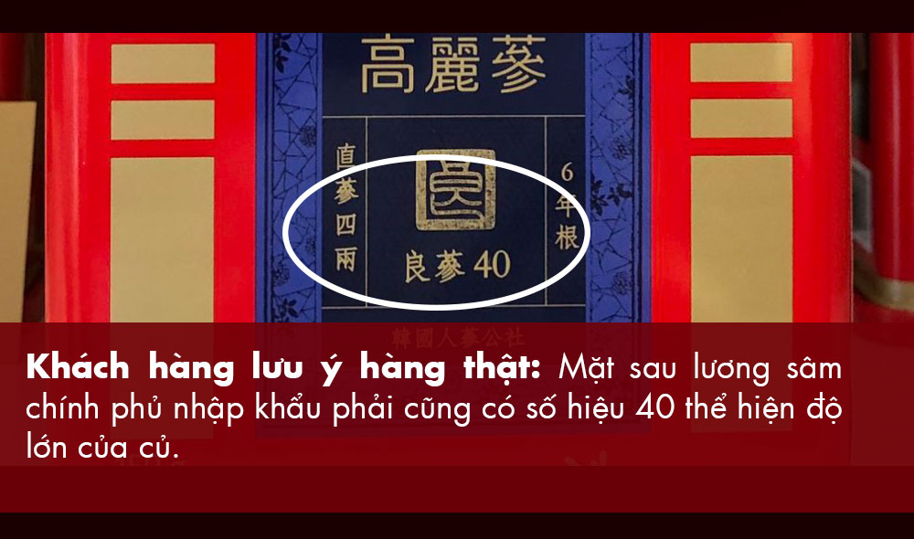 hồng sâm chính phủ