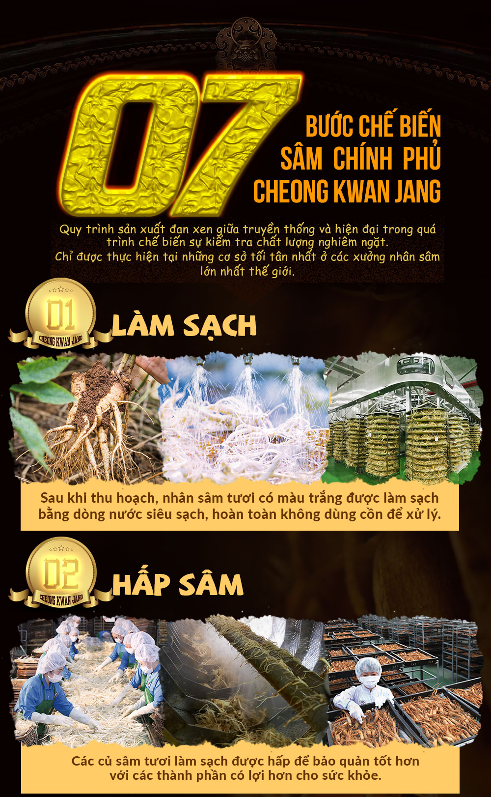 hồng sâm chính phủ