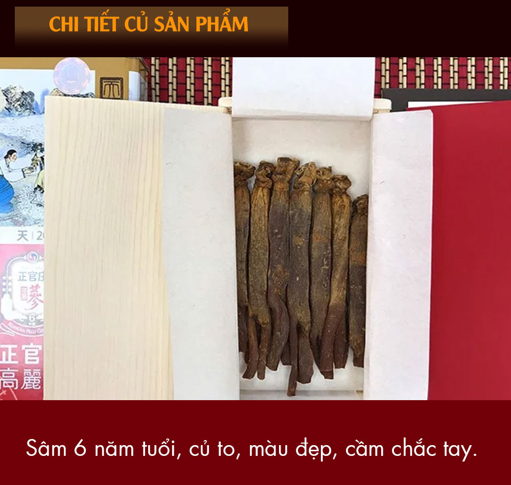 hồng sâm chính phủ