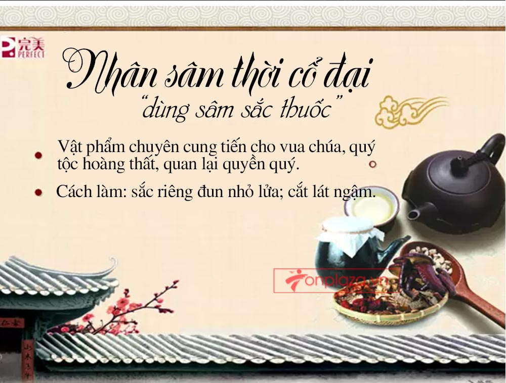 Hồng sâm đơn Cát Phúc NS446