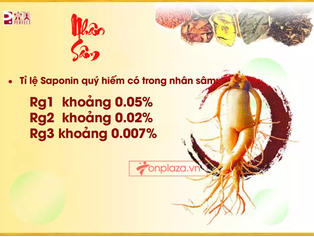 Hồng sâm đơn Cát Phúc NS446