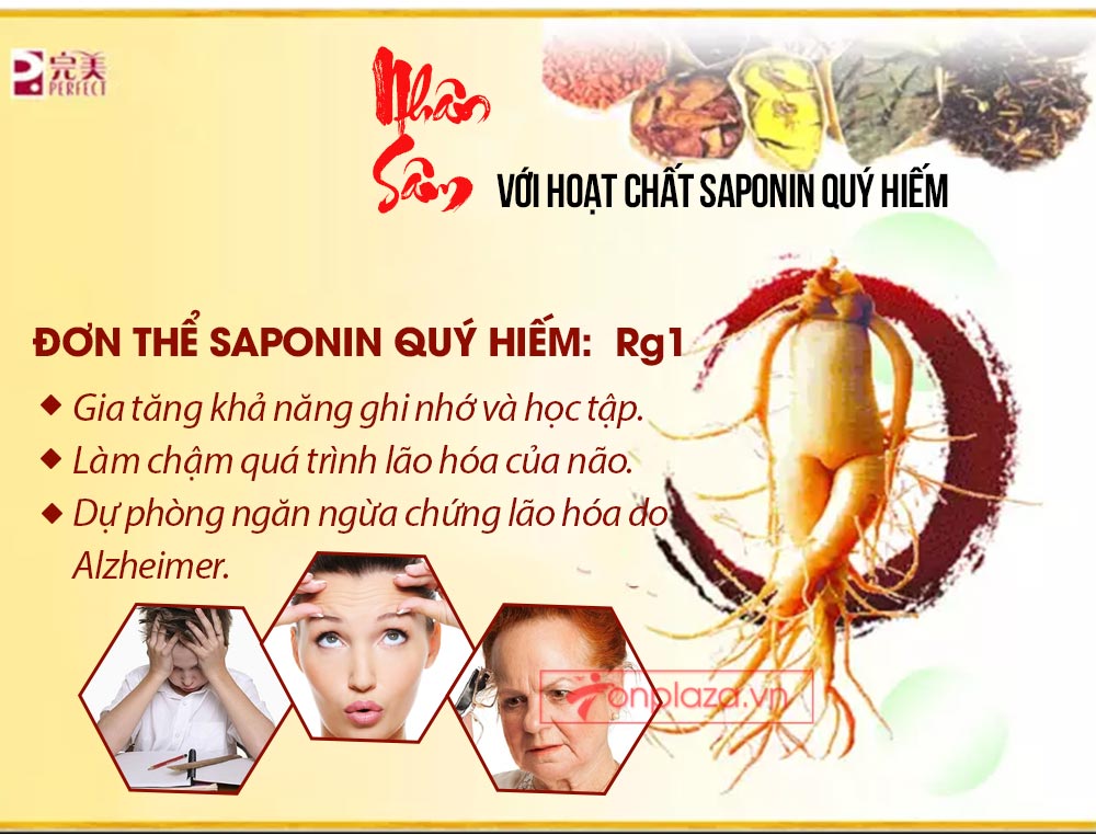 Hồng sâm đơn Cát Phúc NS446