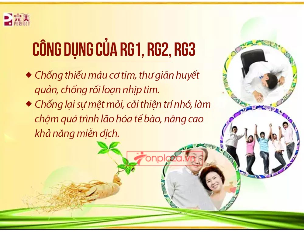 Hồng sâm đơn Cát Phúc NS446