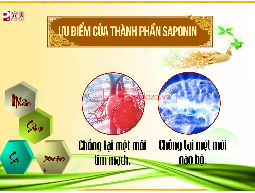 Hồng sâm đơn Cát Phúc NS446