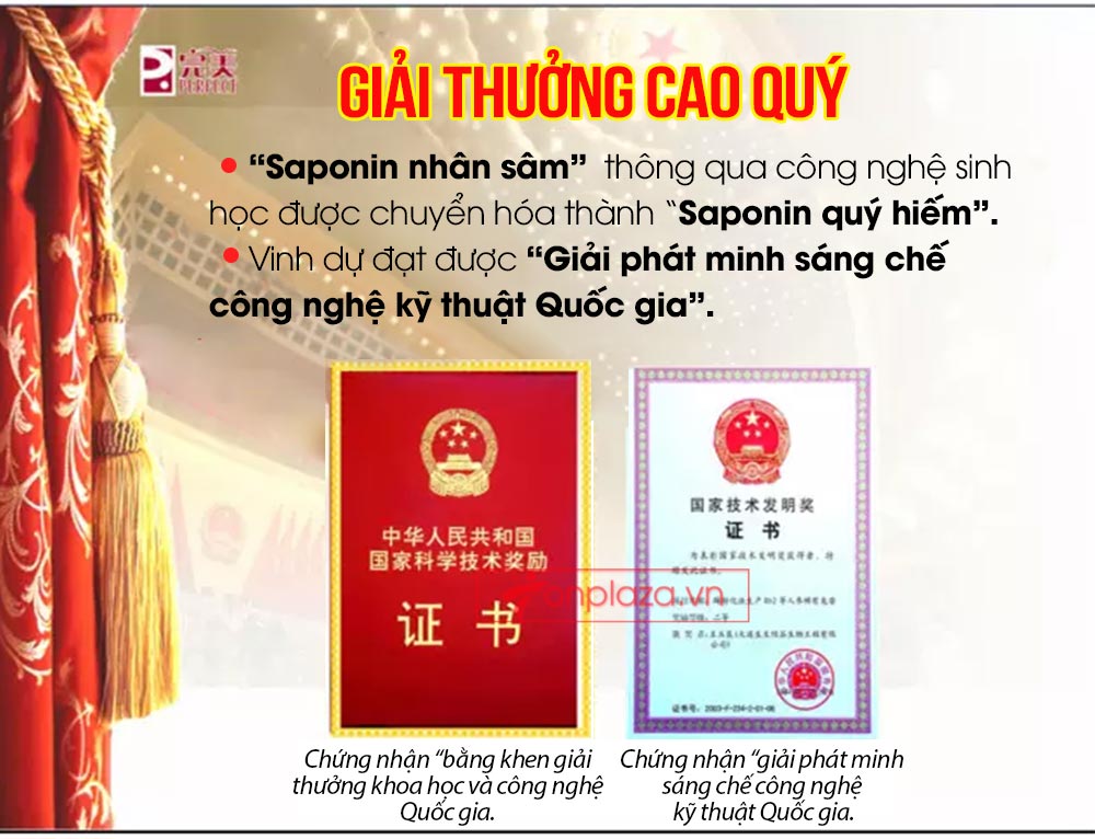 Hồng sâm đơn Cát Phúc NS446