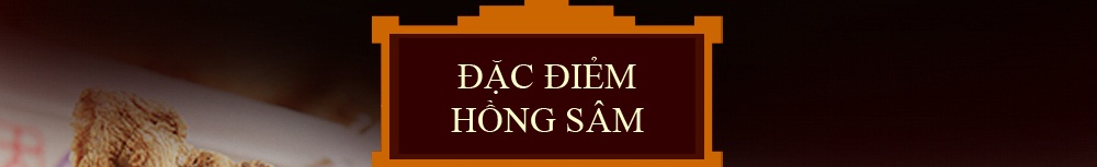 Hồng sâm khô hàn quốc