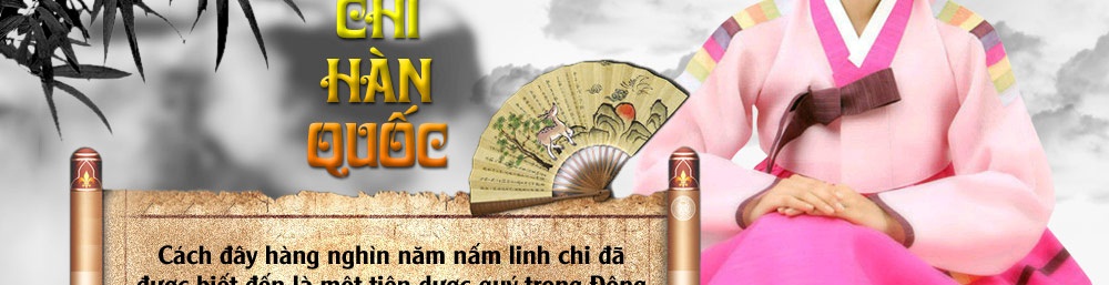 nấm cổ linh chi hàn quốc