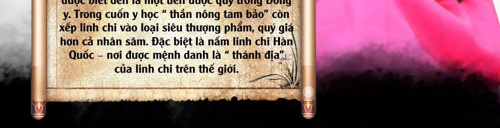 nấm cổ linh chi hàn quốc