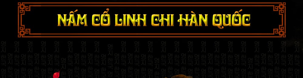 nấm cổ linh chi hàn quốc