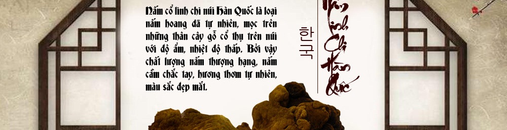 nấm cổ linh chi hàn quốc