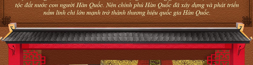 nấm cổ linh chi hàn quốc