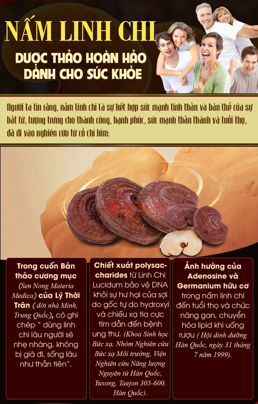 Nấm linh chi bao tử hàn quốc