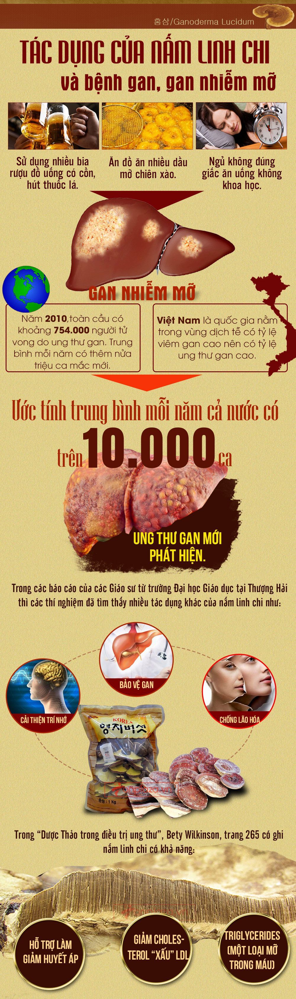 Nấm linh chi bao tử hàn quốc