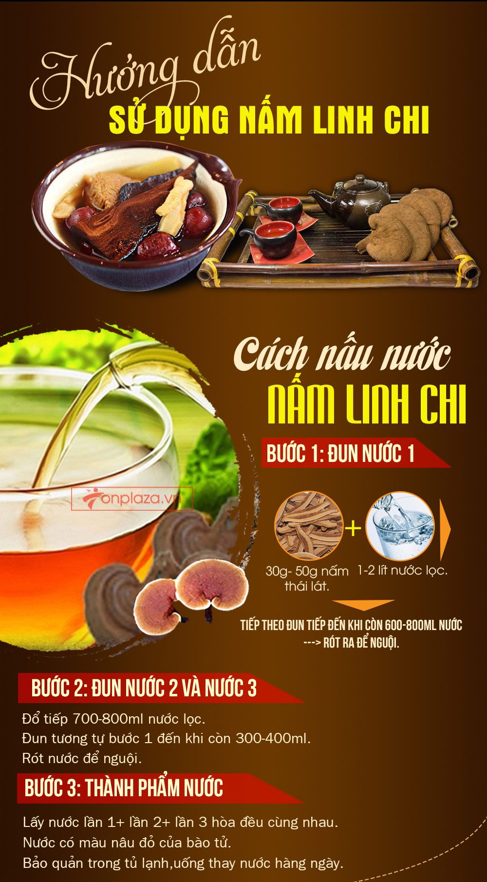 Nấm linh chi bao tử hàn quốc