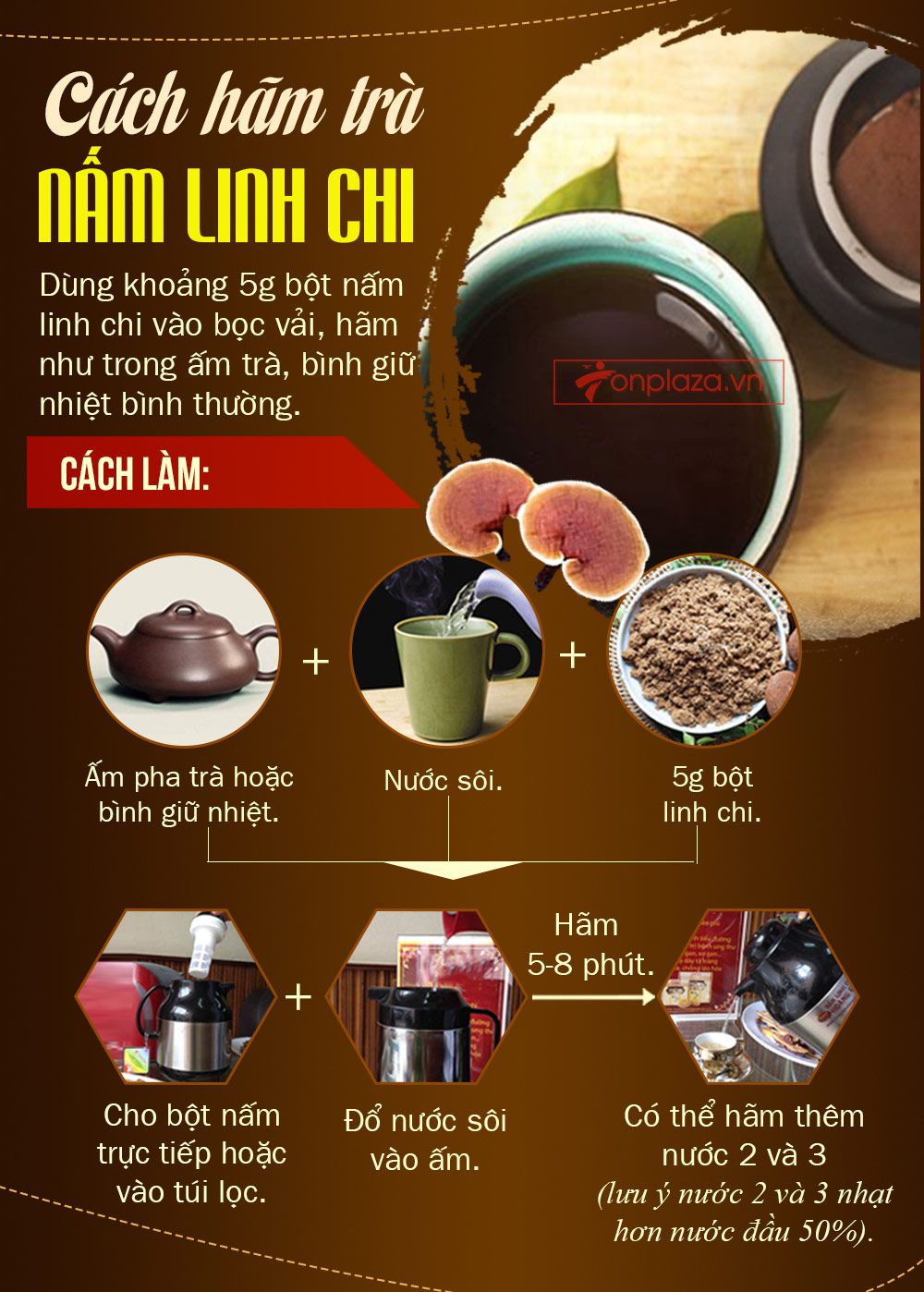 Nấm linh chi bao tử hàn quốc