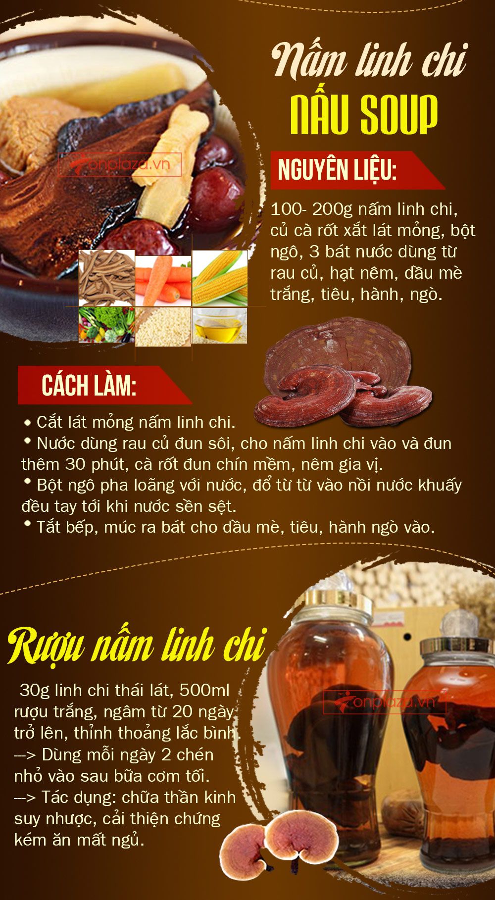 Nấm linh chi bao tử hàn quốc