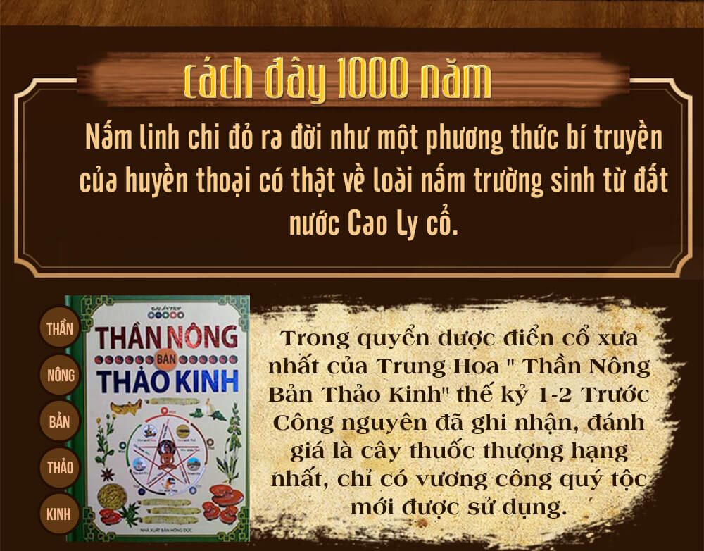 Nấm linh chi đỏ thượng hạng hộp quà biếu (1kg/hộp) L047