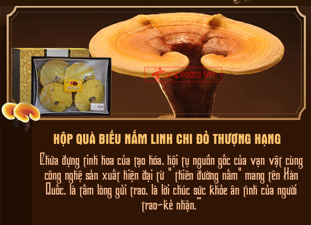 Nấm linh chi đỏ thượng hạng hộp quà biếu (1kg/hộp) L047