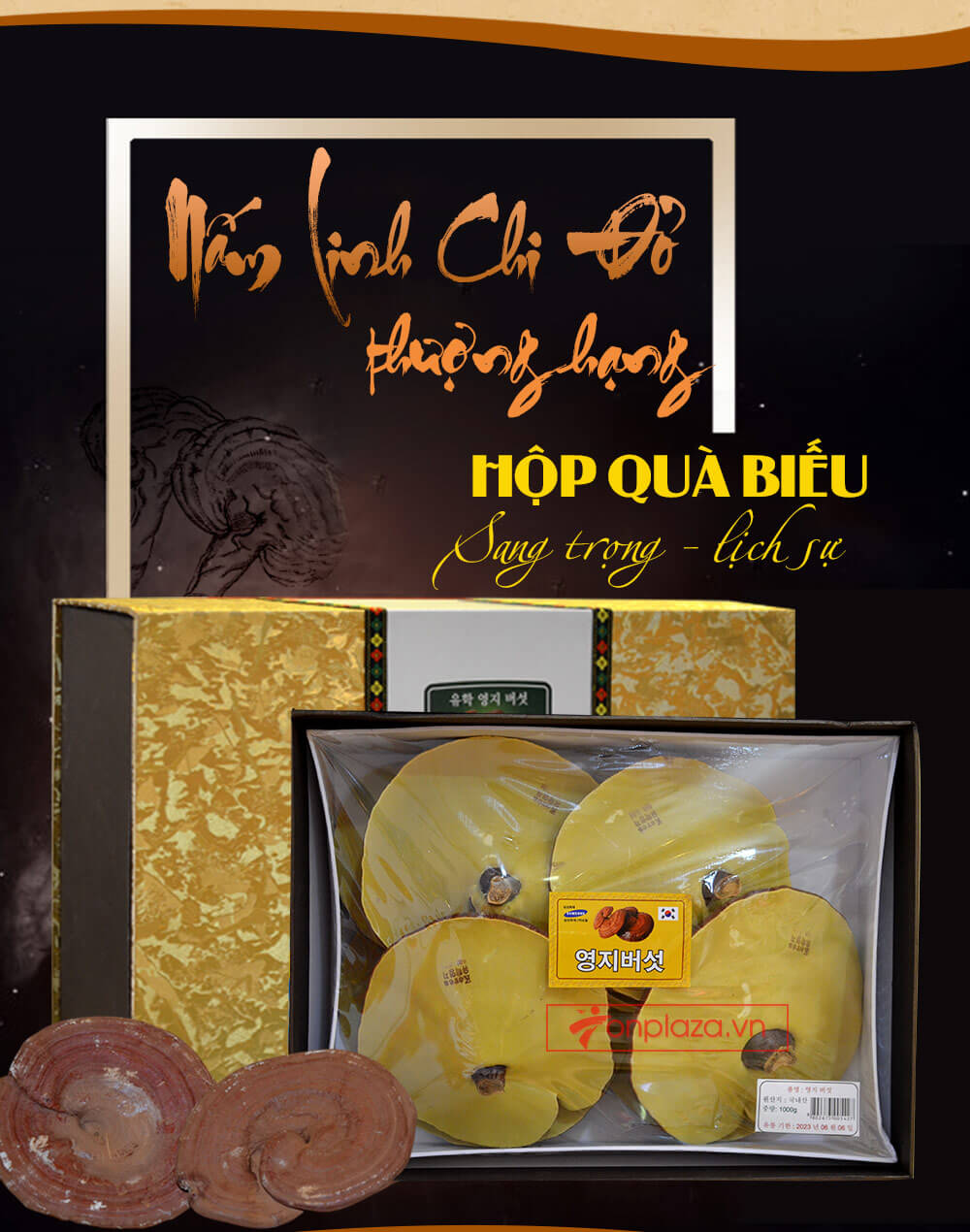 Nấm linh chi đỏ thượng hạng hộp quà biếu (1kg/hộp) L047