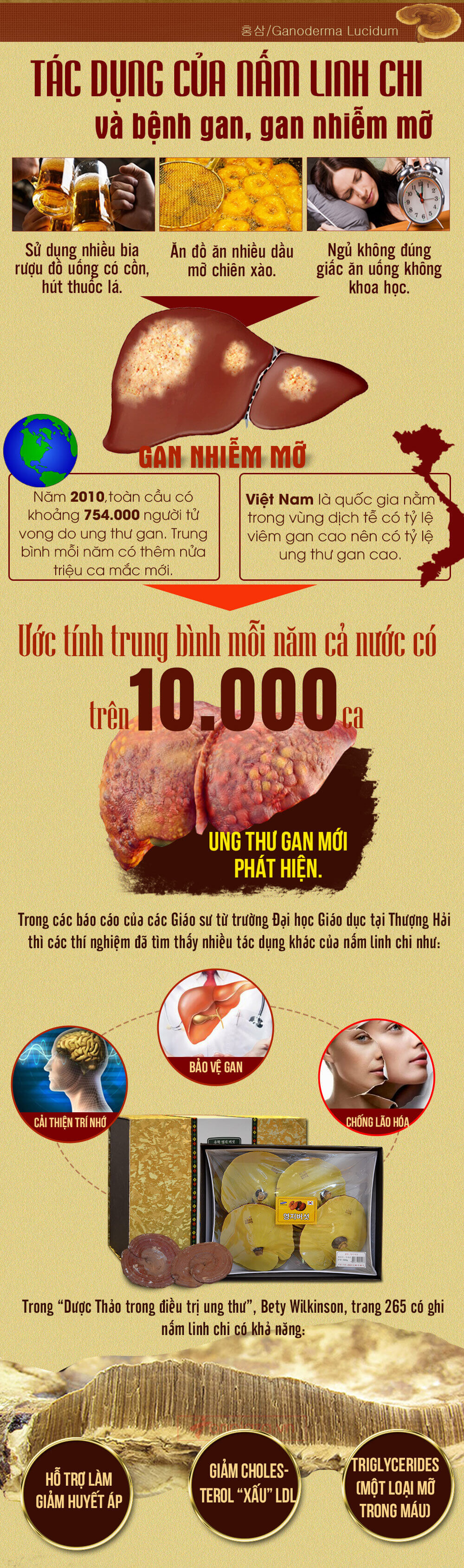 Nấm linh chi đỏ thượng hạng hộp quà biếu (1kg/hộp) L047