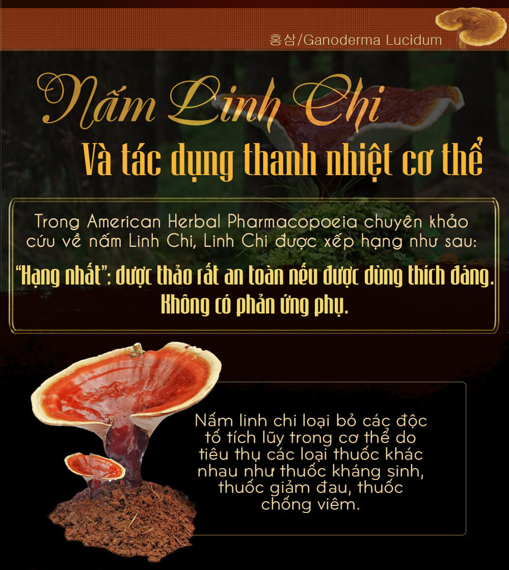 Nấm linh chi đỏ thượng hạng hộp quà biếu (1kg/hộp) L047