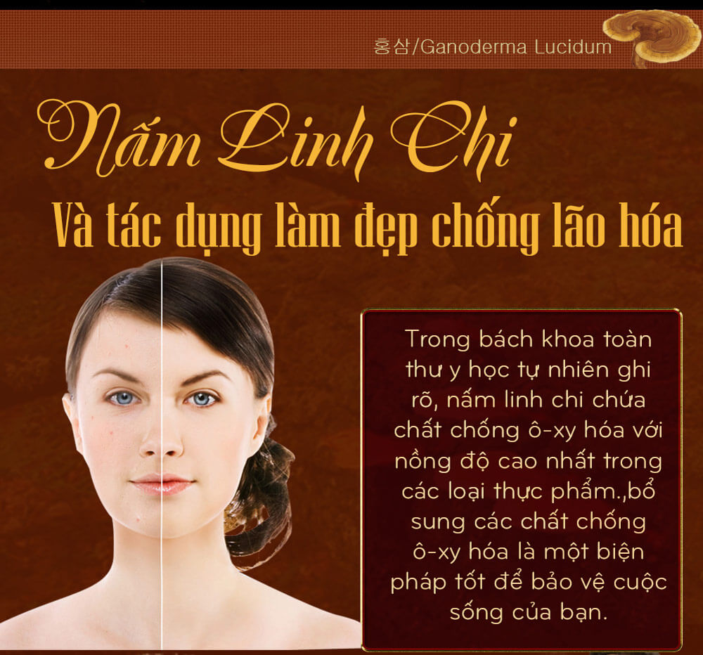 Nấm linh chi đỏ thượng hạng hộp quà biếu (1kg/hộp) L047