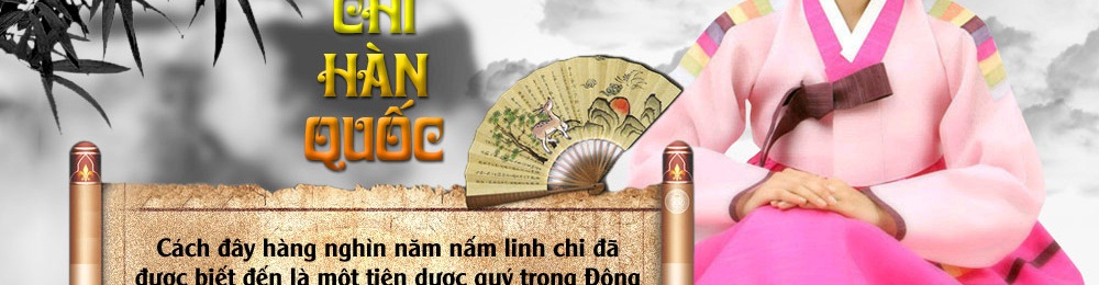 Nấm linh chi vàng thượng hạng