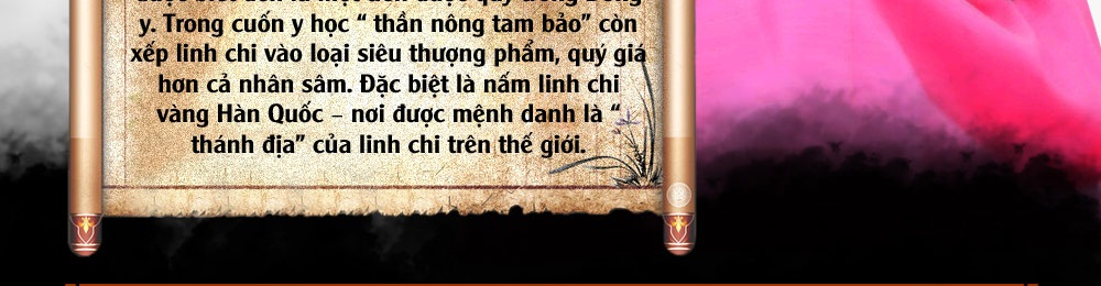 Nấm linh chi vàng thượng hạng