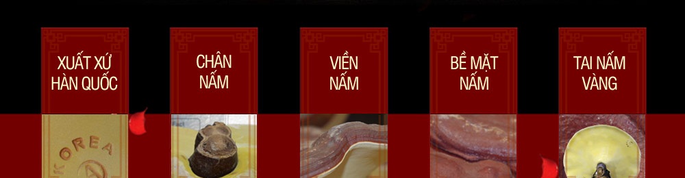 Nấm linh chi vàng thượng hạng