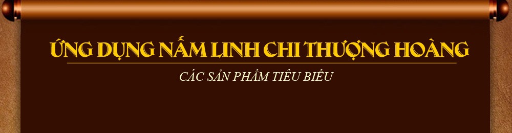 nấm linh chi thượng hoàng hàn quốc