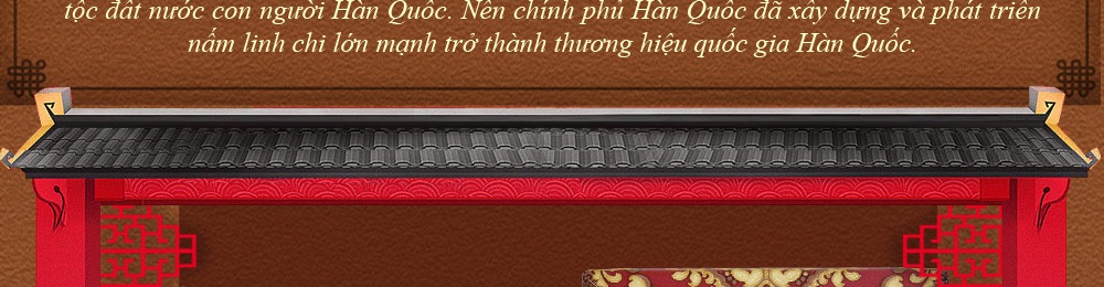 nấm linh chi thượng hoàng hàn quốc