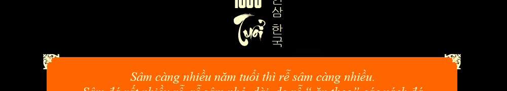 Nhân sâm núi đá thượng hạng Triều Tiên 1000 năm tuổi 